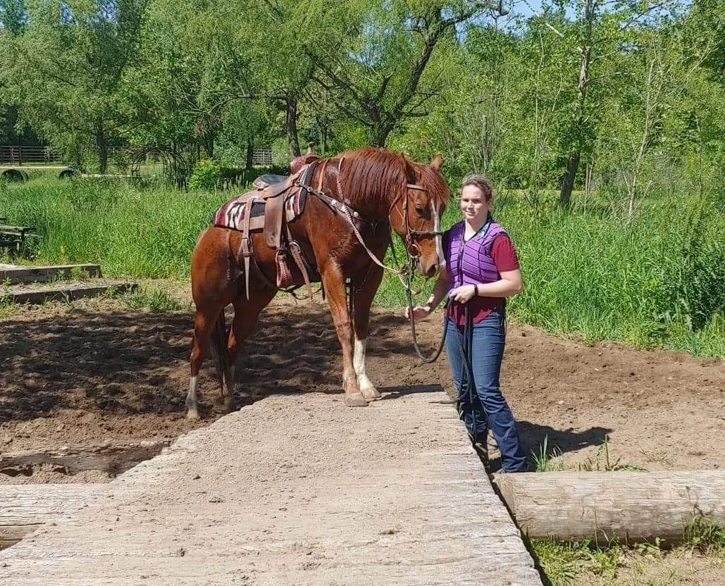 Different horses in training at Southside Performance Horses
