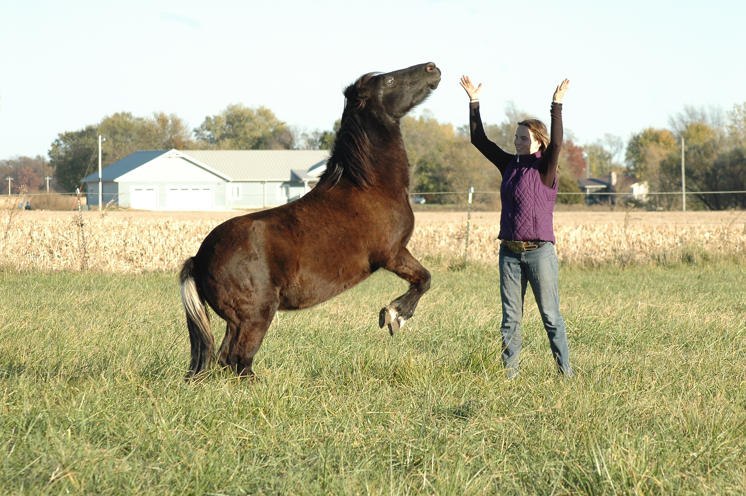 Liberty work in the arena