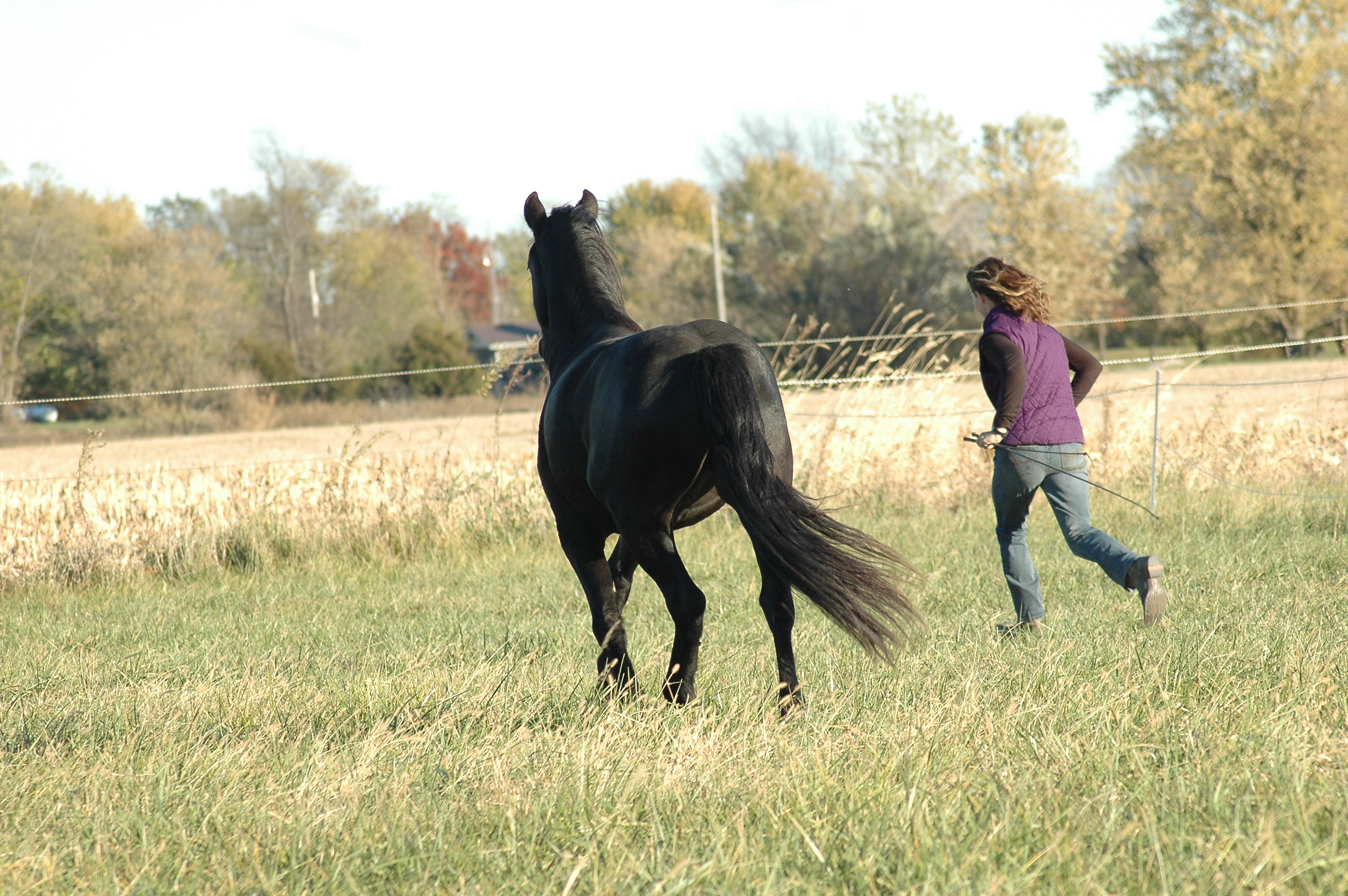 Quiet moment of connection in liberty work