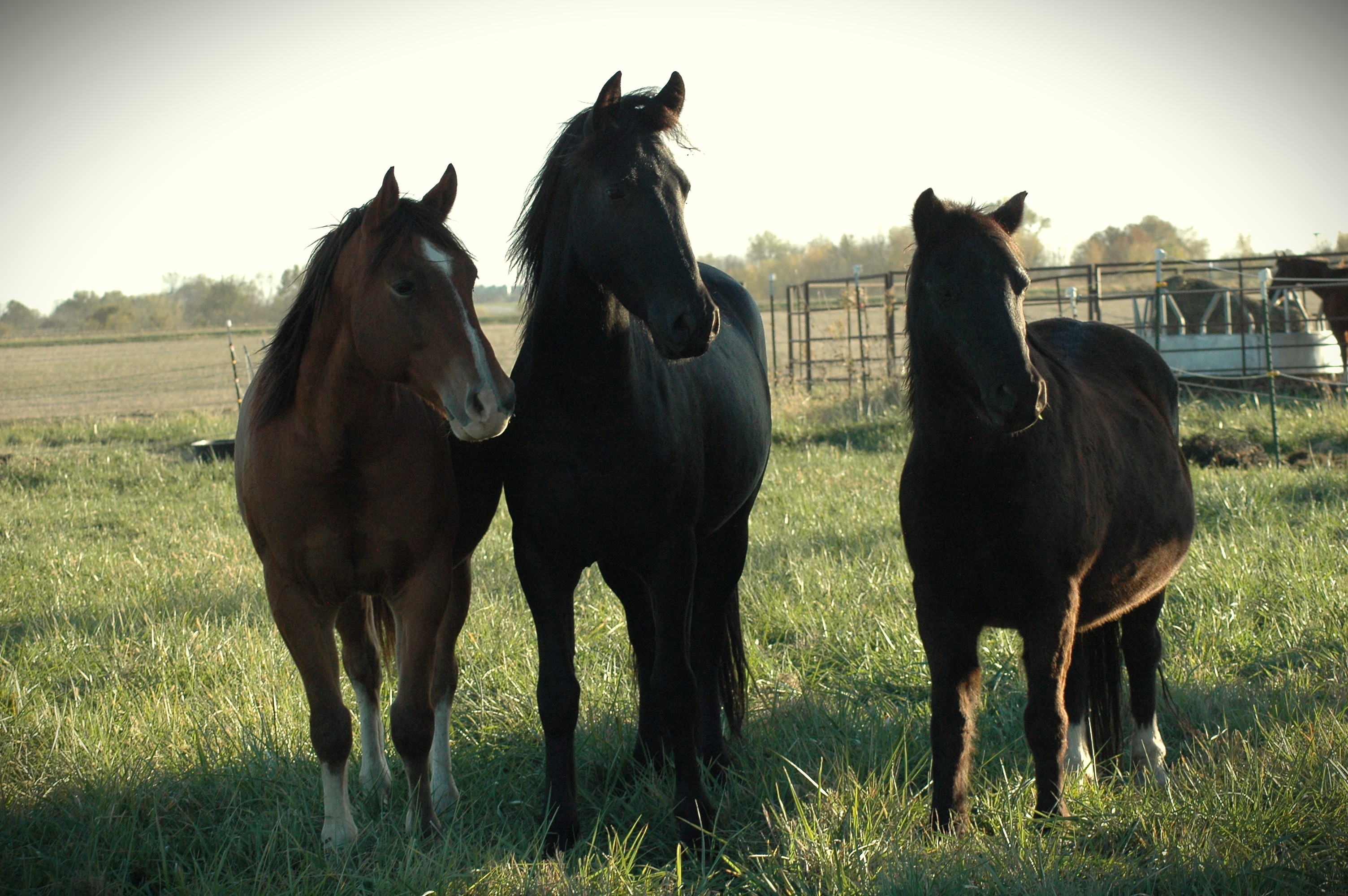 Soft connection during a training ride
