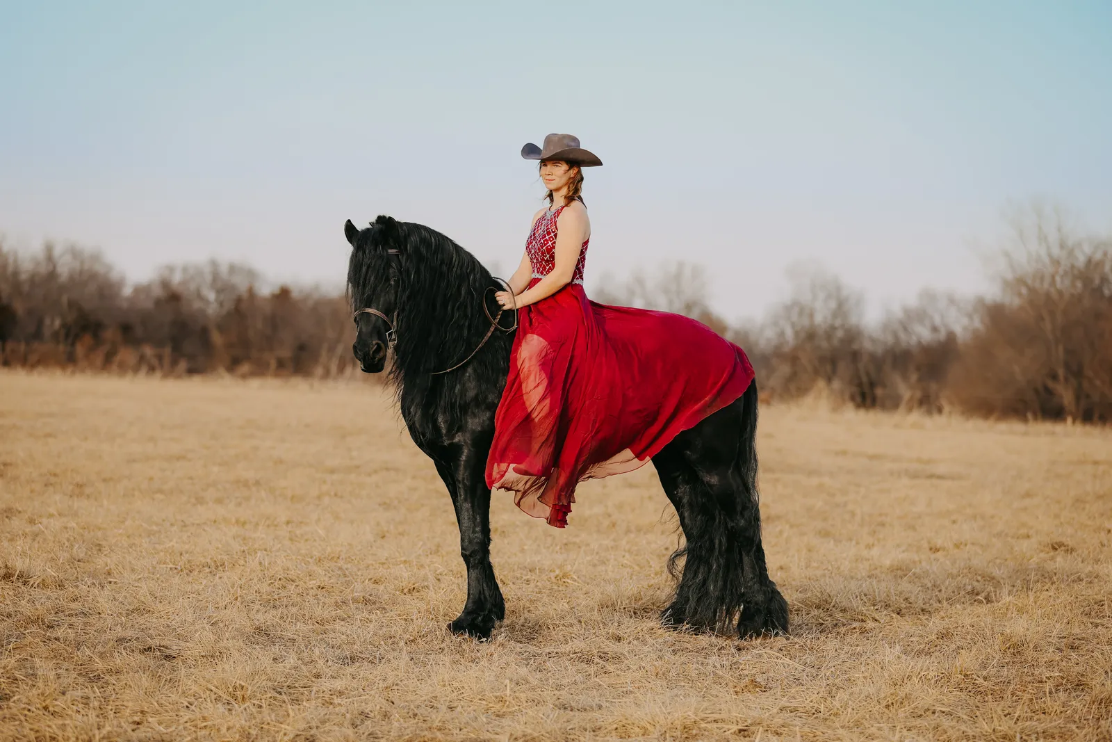 Tjerk Fan Bonnie View — Friesian Stallion