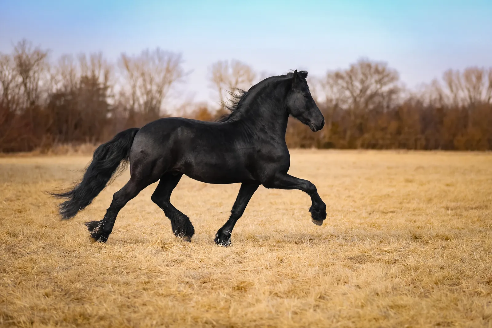 Tjerk Fan Bonnie View