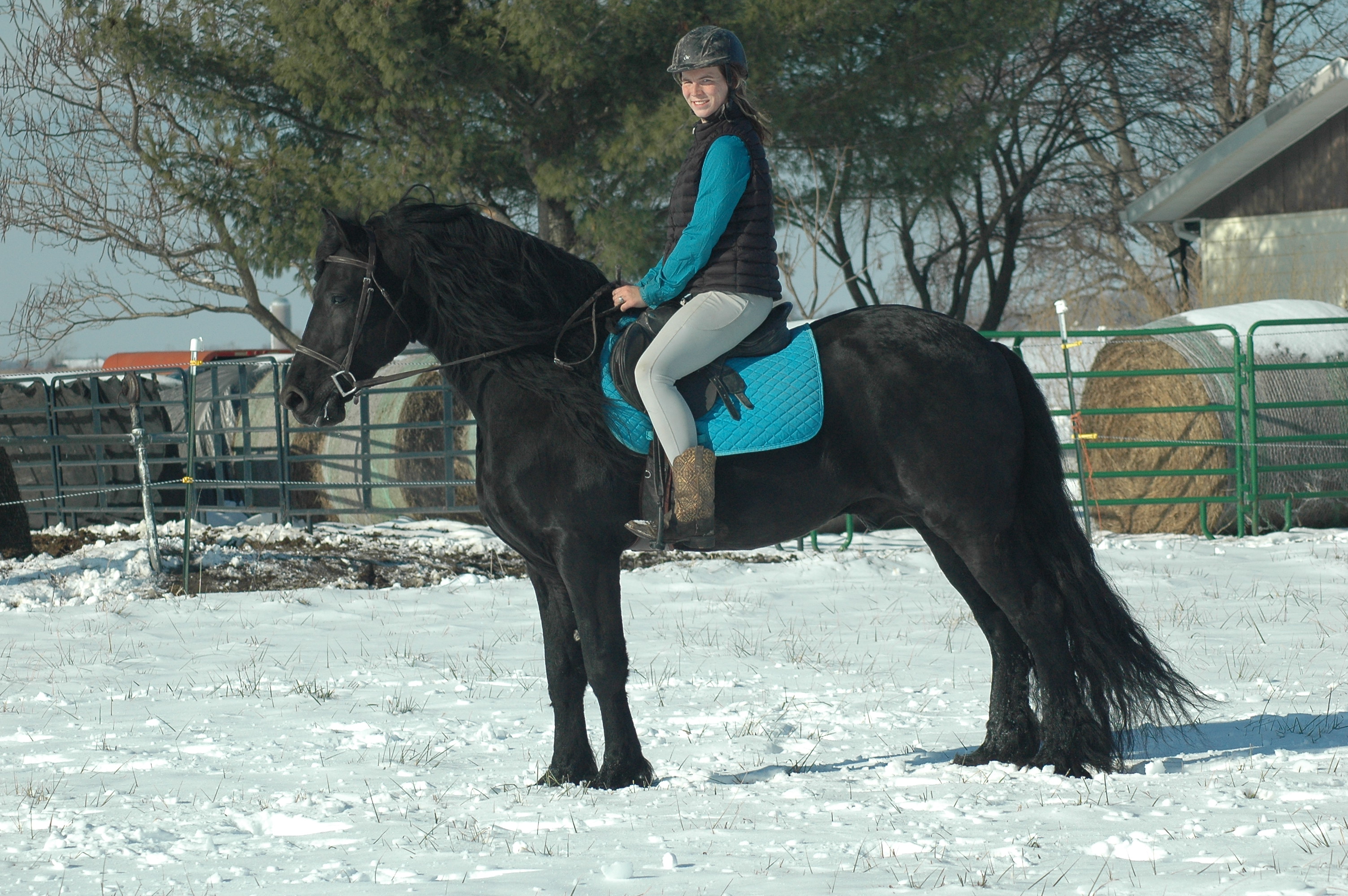 Tjerk Fan Bonnie View english photo