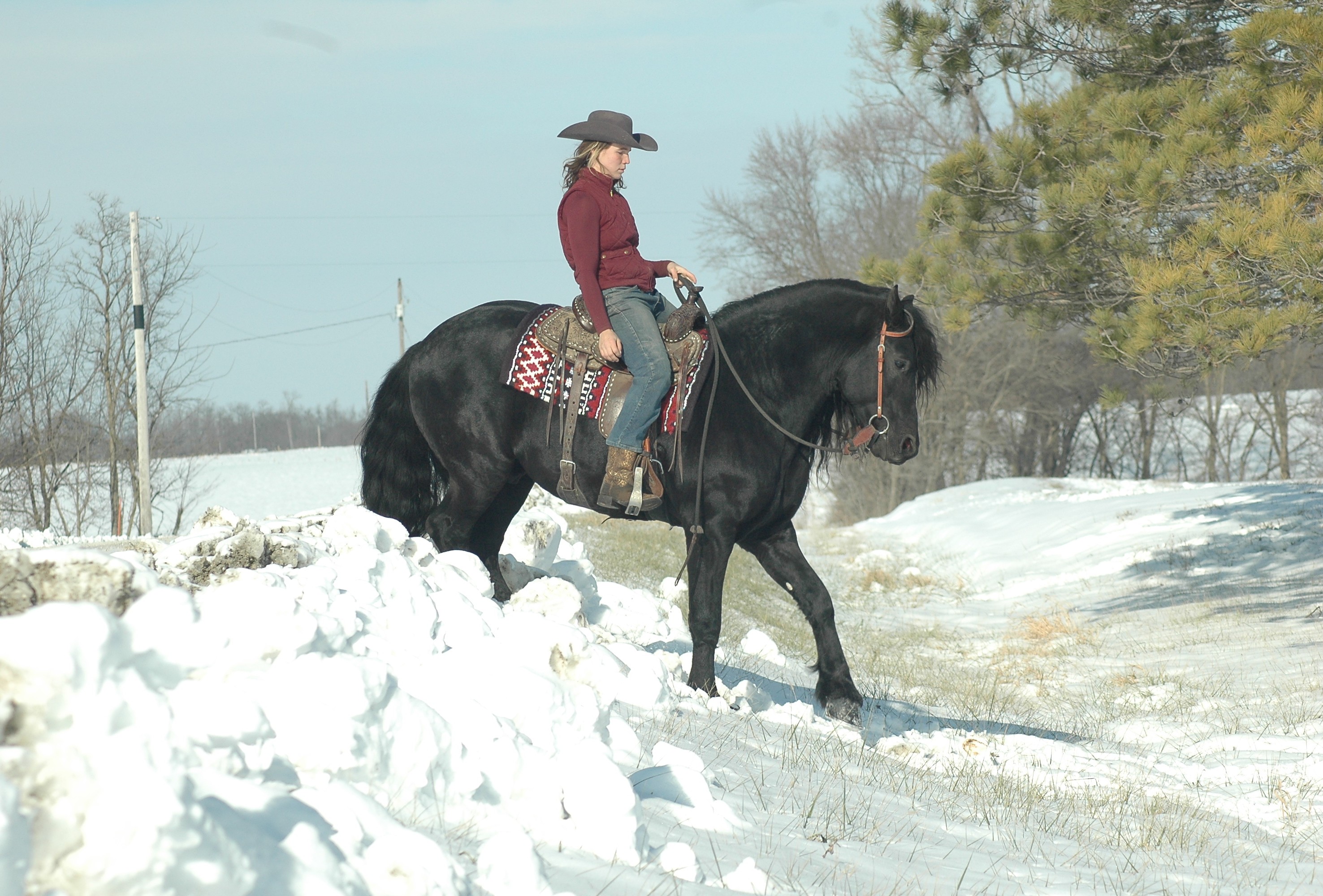 Tjerk Fan Bonnie View western photo