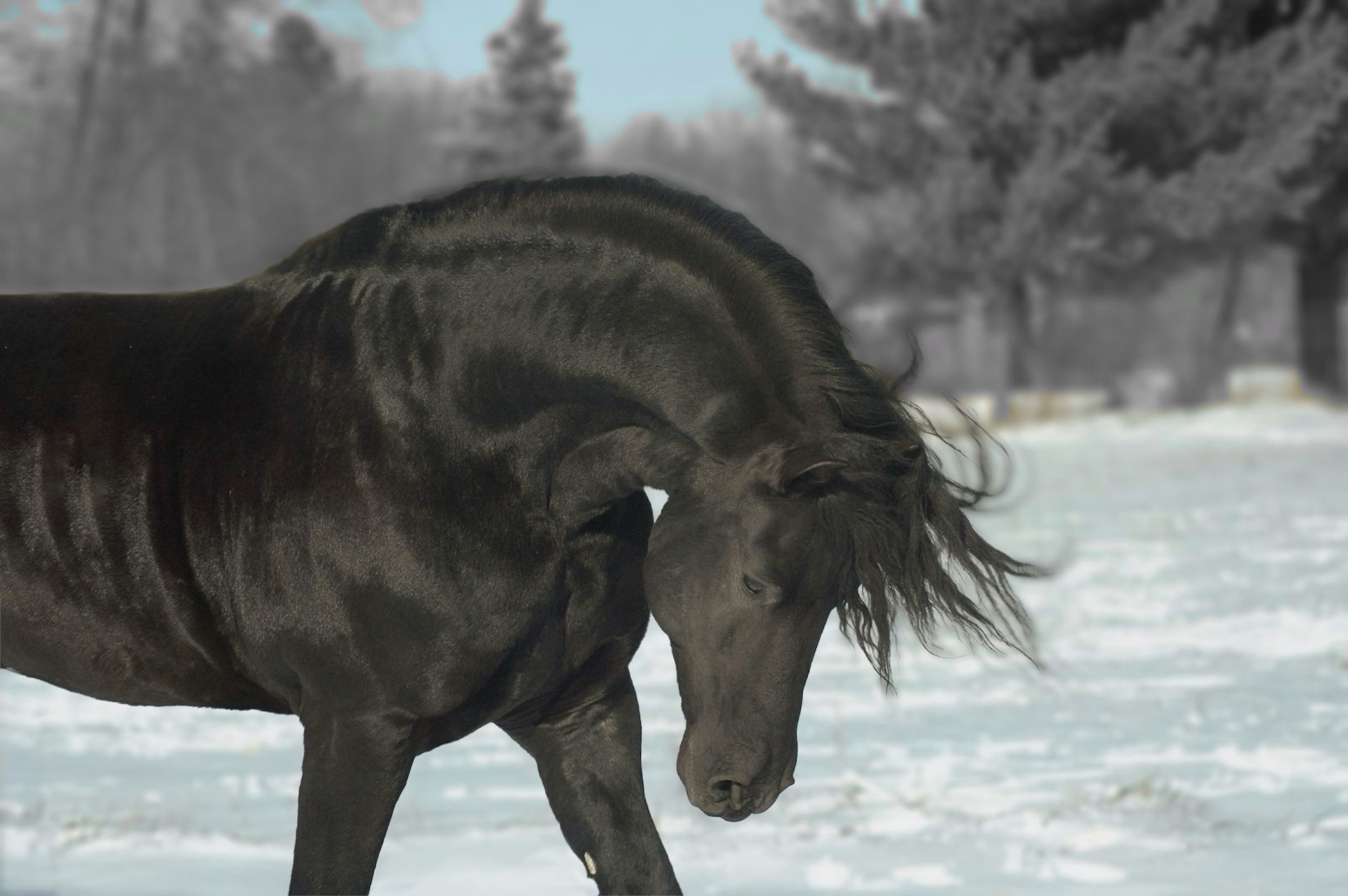 Tjerk Fan Bonnie View